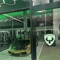 Fusion Gyms ico