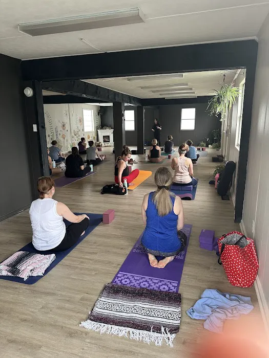 Shanteel Yoga Sanctuary New Britain Picture 5