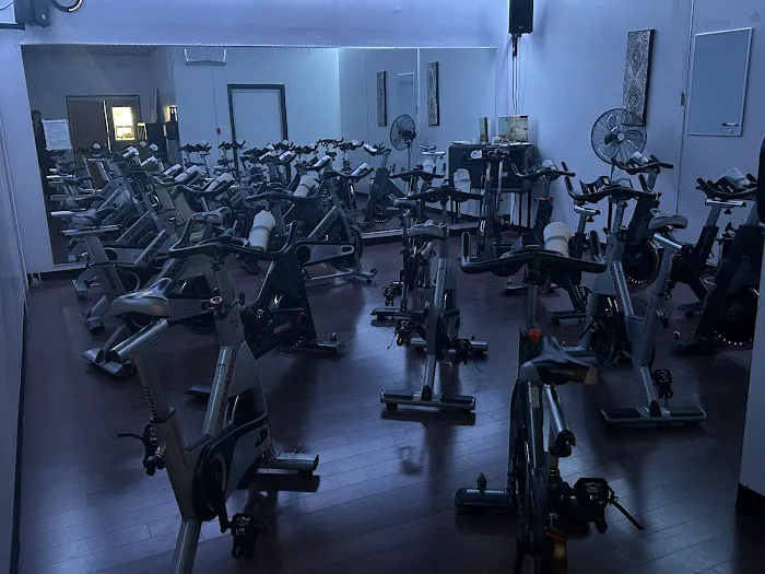 Shape Fitness Picture 5
