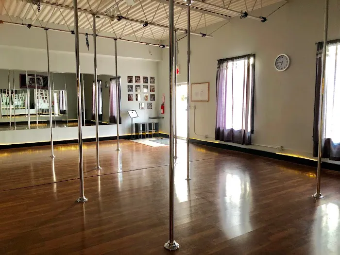 Pennsylvania Pole Academy Picture 9