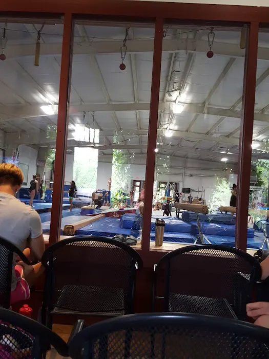 Gymnastics of York Picture 4
