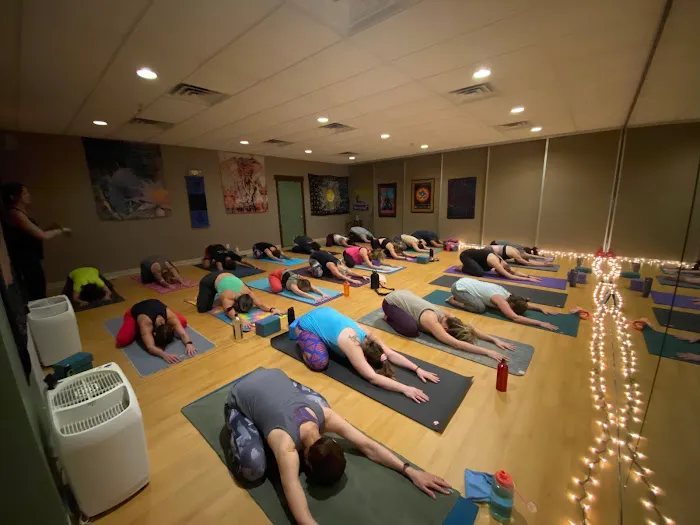 Twisted Roots Yoga & Wellness Picture 2