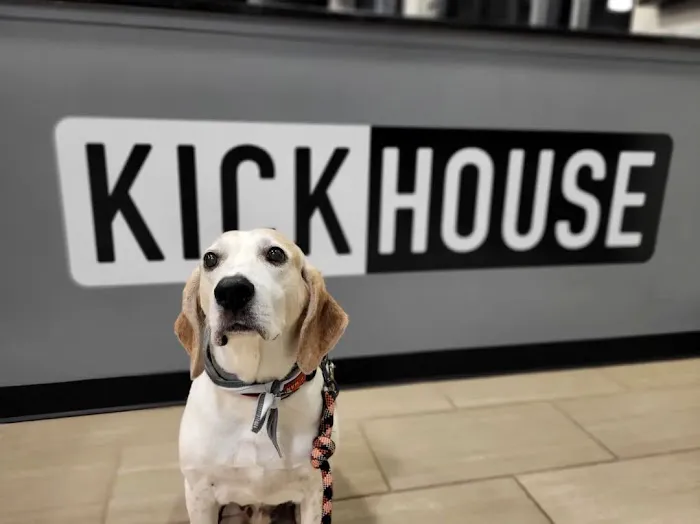 KickHouse Picture 8