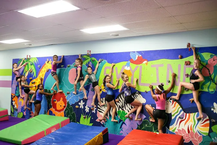 Skyline Gymnastics Center LTD Picture 2