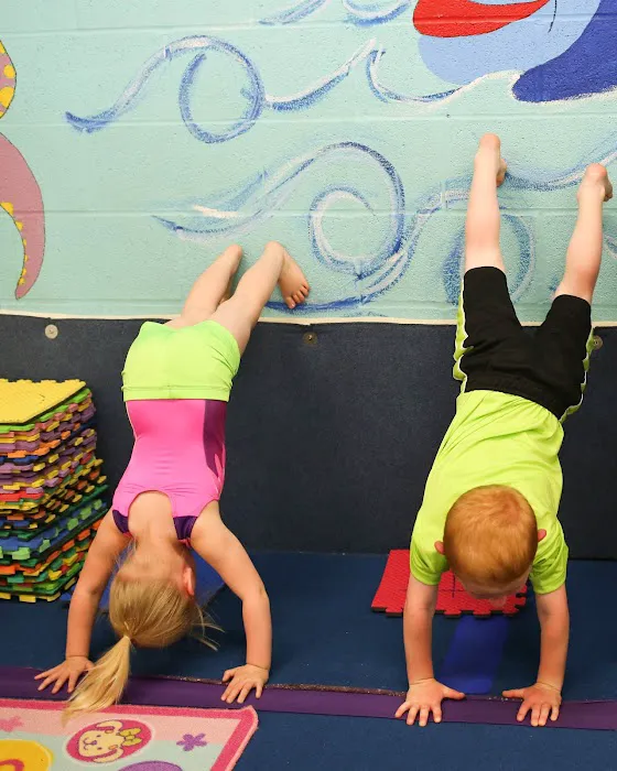 Skyline Gymnastics Center LTD Picture 1