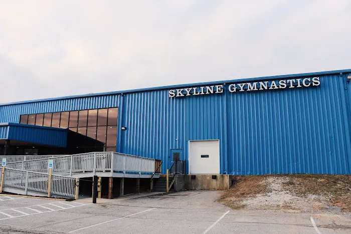 Skyline Gymnastics Center LTD Picture 3