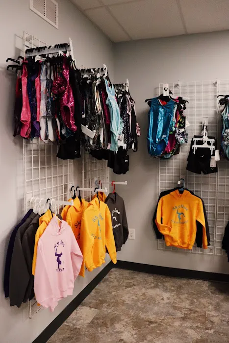 Skyline Gymnastics Center LTD Picture 8