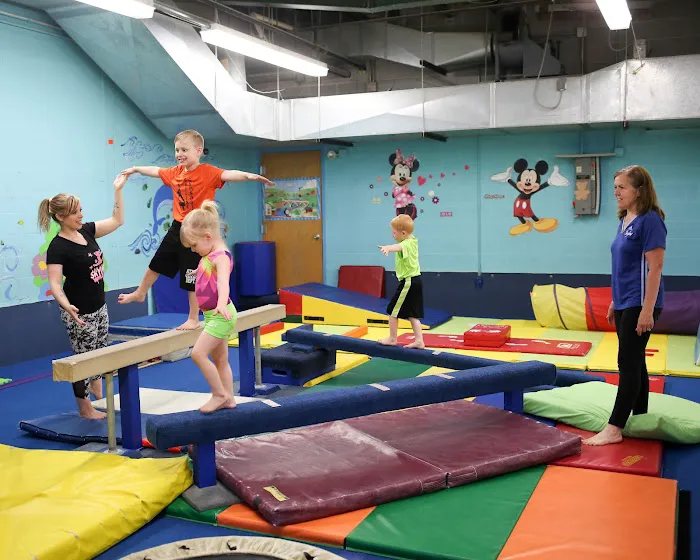 Skyline Gymnastics Center LTD Picture 6