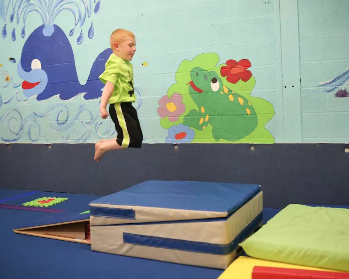Skyline Gymnastics Center LTD Picture 5
