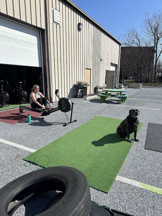 Crossfit Gamma Picture 2