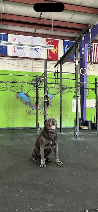 Crossfit Gamma Picture 8