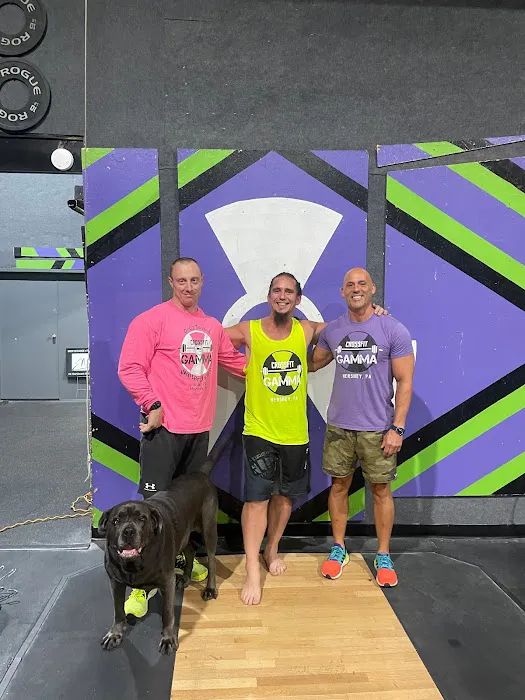 Crossfit Gamma Picture 10