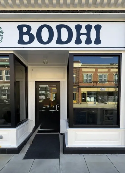 Bodhi Yoga & Wellness Picture 3