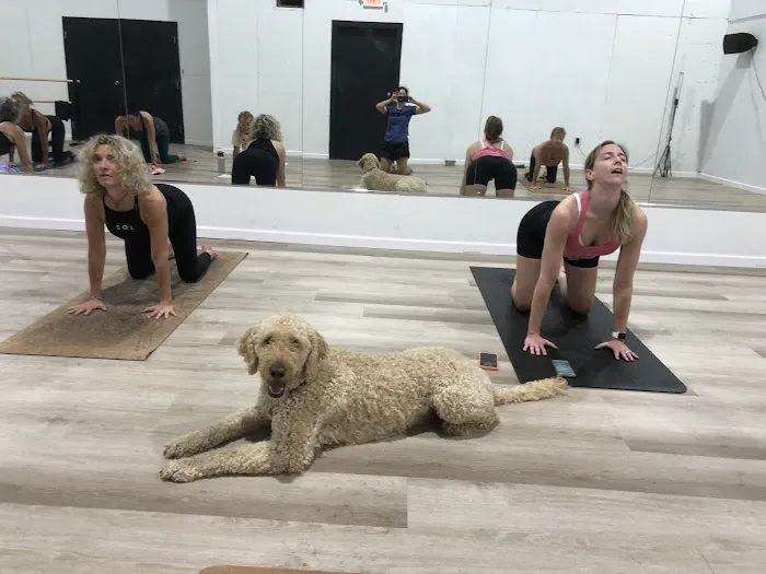 Studio SOL Yoga & Pilates Hershey, PA Picture 2