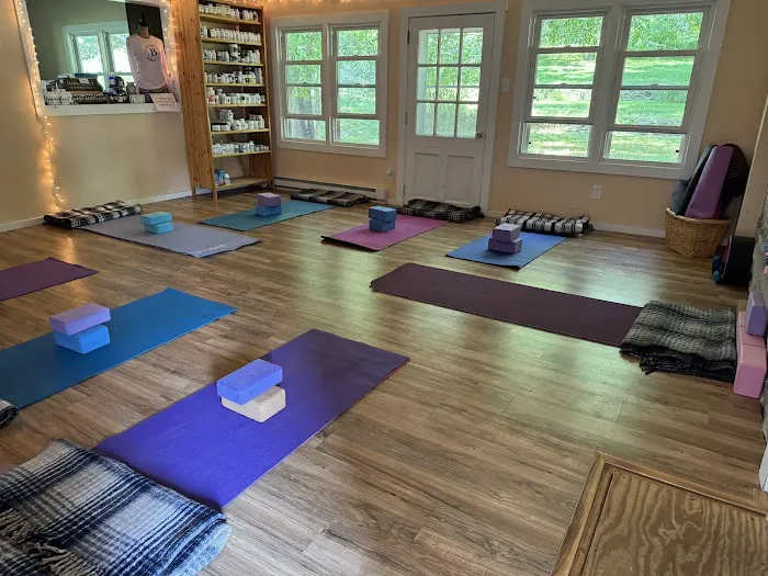Healing Earth Studio & Wellness Picture 2