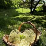 Healing Earth Studio & Wellness