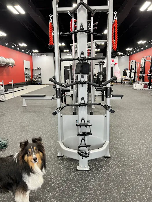 Unrivaled Nutrition + Training Picture 6