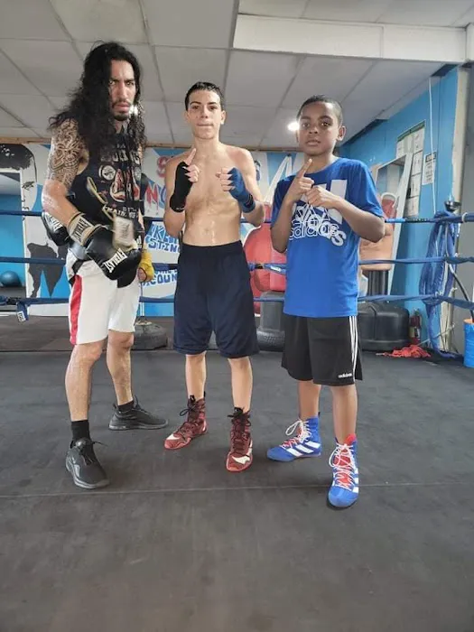 Show Stoppers Boxing Gym Picture 3