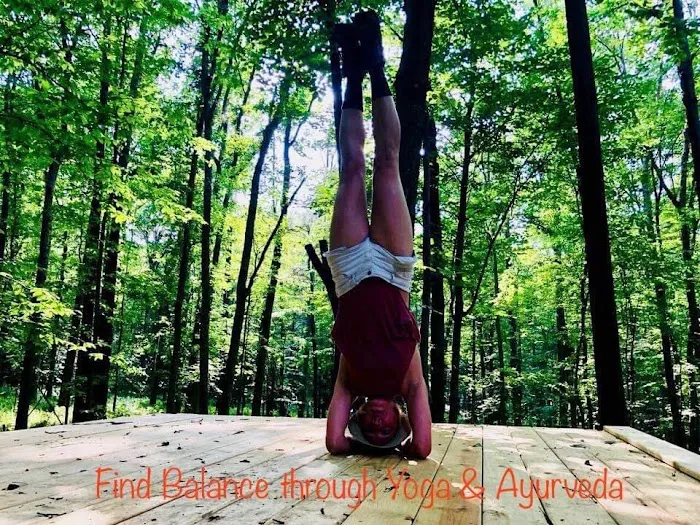 Dragonfly Yoga & Ayurveda Picture 7
