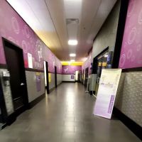 Planet Fitness ico