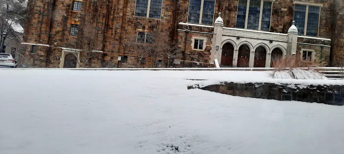 Caruso Complex Picture 1