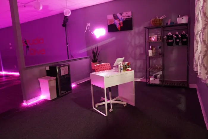 Studio Diva Picture 6