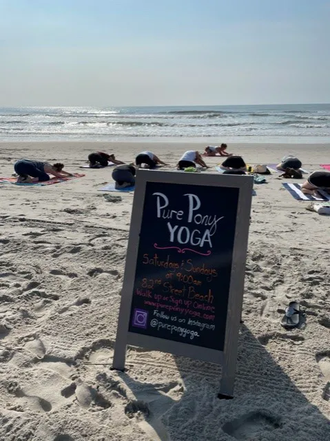 Pure Pony Yoga Stone Harbor Picture 3
