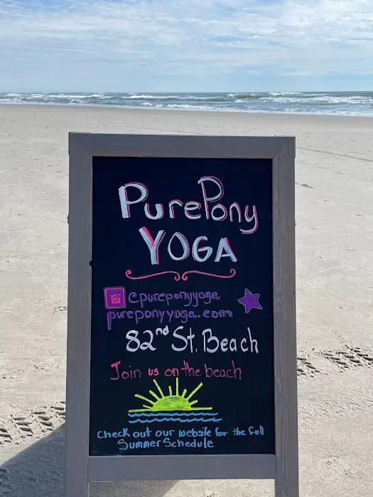 Pure Pony Yoga Stone Harbor Picture 6