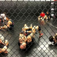Philly's Next Champ ico