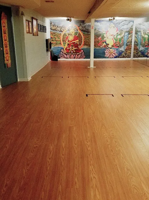 The Twisted Monkey Yoga Studio Picture 7