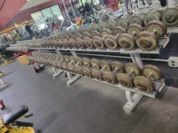 Body Dynamics Fitness Center Picture 9
