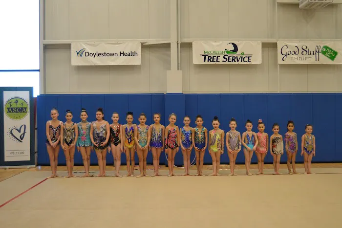 ASCA Gymnastics Picture 3
