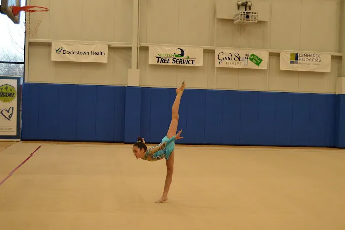 ASCA Gymnastics Picture 1