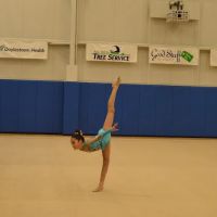 ASCA Gymnastics ico
