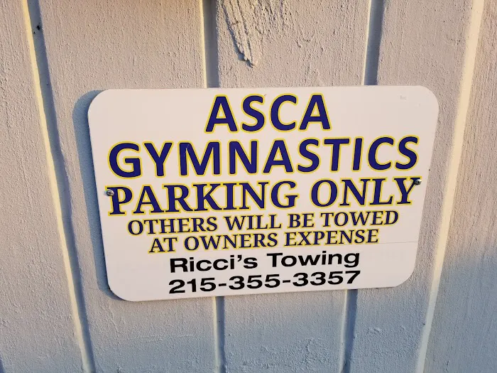 ASCA Gymnastics Picture 5