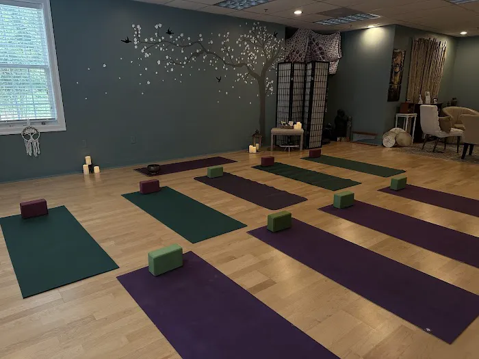 Airmid Wellness and Counseling Center Picture 9