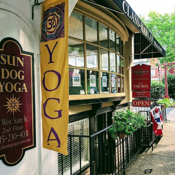Sun Dog Yoga Studio Picture 9
