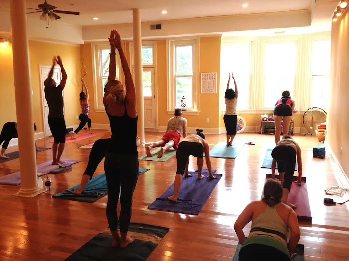 Sun Dog Yoga Studio Picture 8
