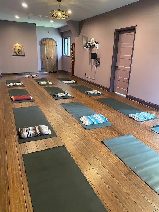 Dragonfly Yoga Studio Picture 3