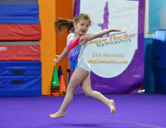 Above the Bar Gymnastics Picture 3