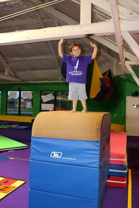 Above the Bar Gymnastics Picture 9