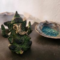 Burning Lotus Studio ico