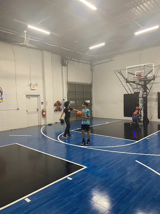 Basketball Warehouse Picture 1