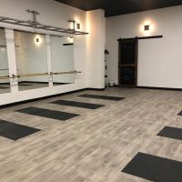 Tribe Fitness ico