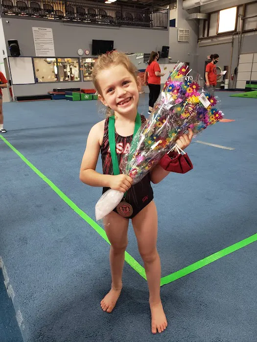 Artistic Sports Academy Plus Picture 8
