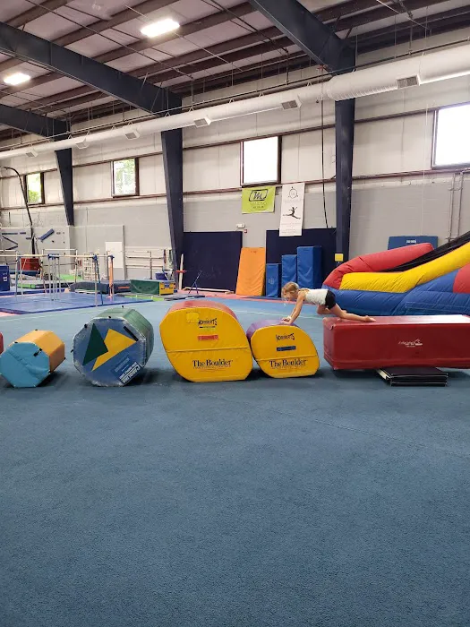 Artistic Sports Academy Plus Picture 4