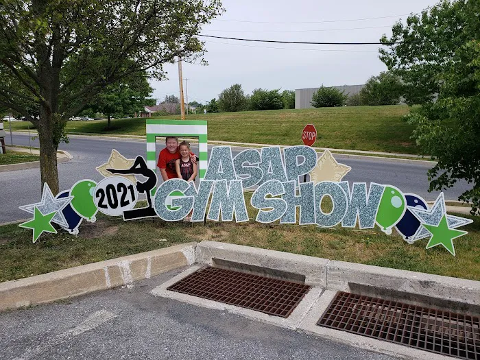 Artistic Sports Academy Plus Picture 5