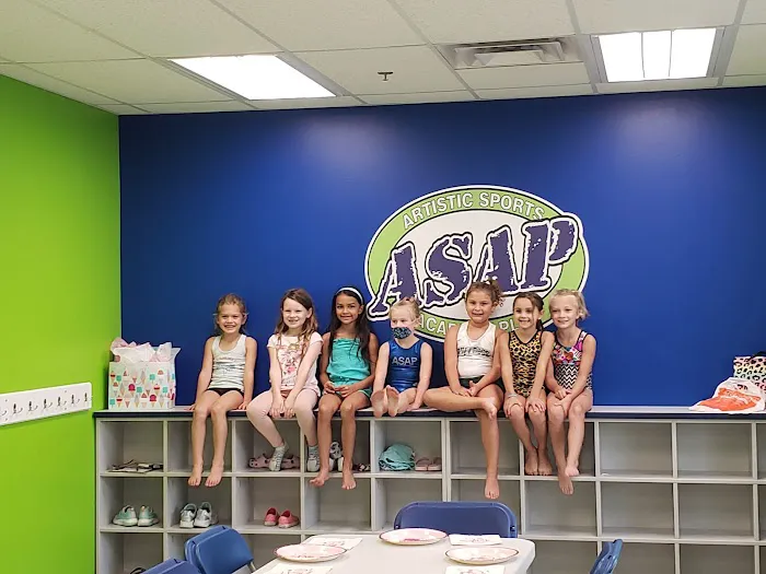 Artistic Sports Academy Plus Picture 6