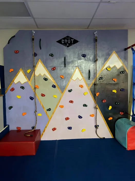 The Spot 4 Children's Fitness Picture 4