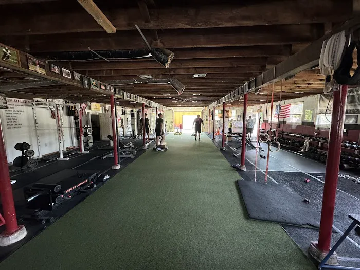 Explosive Sports Performance Picture 4